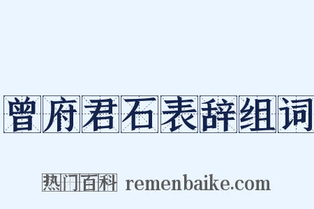 曾府君石表辞组词是什么意思的图片